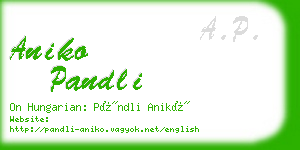 aniko pandli business card